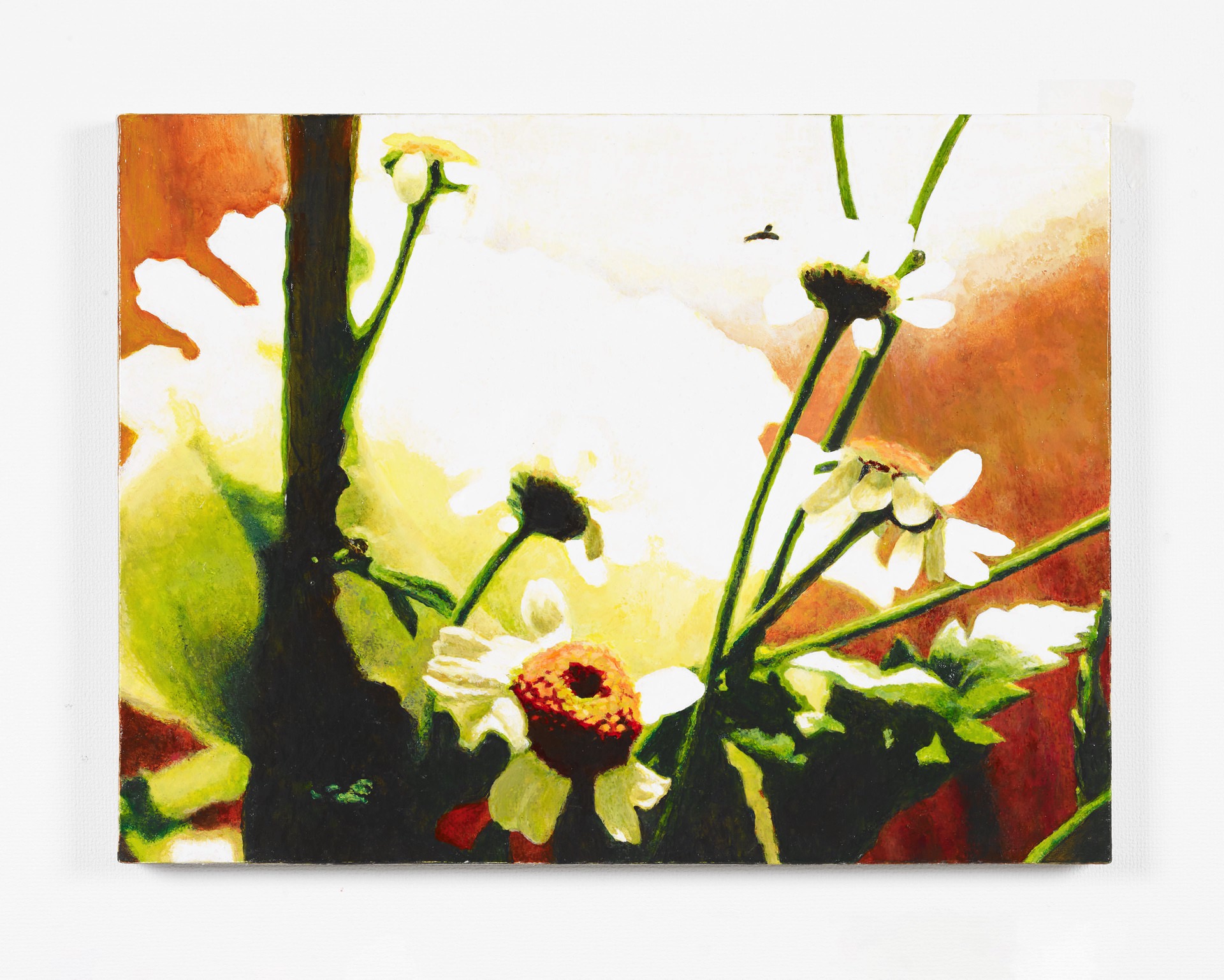 花 / Flowers, 2017