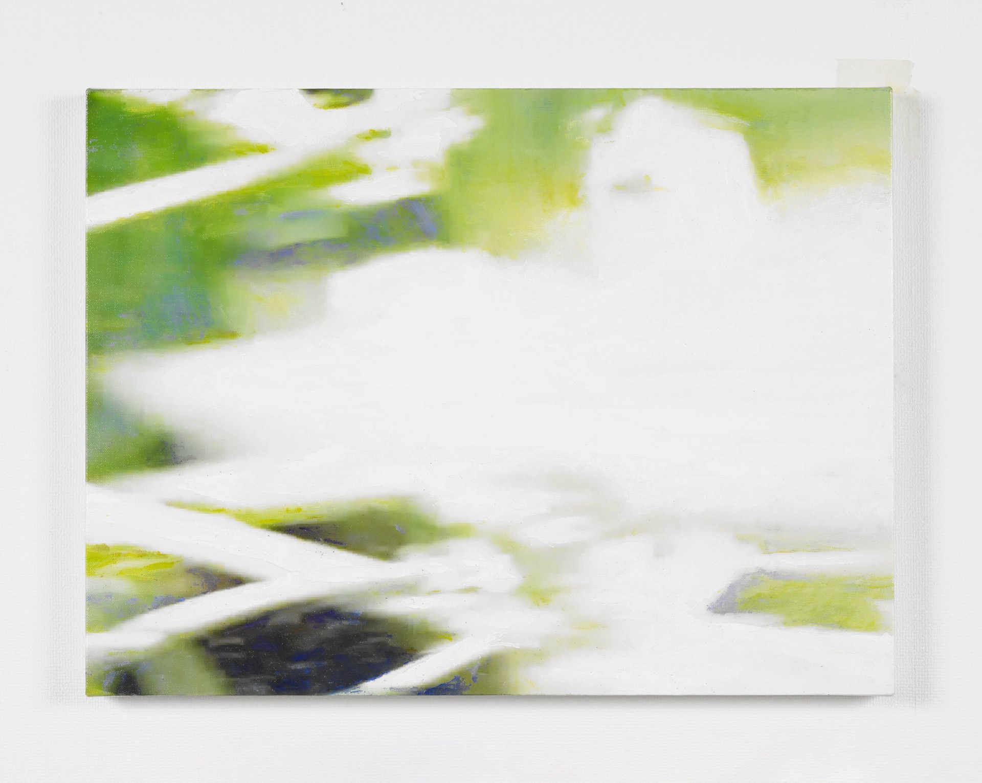 キクニガナ I-05 / Cichorium intybus I-05, 2017